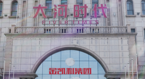 河北邢台2亿股东借款案:职务侵占还是合法分配?